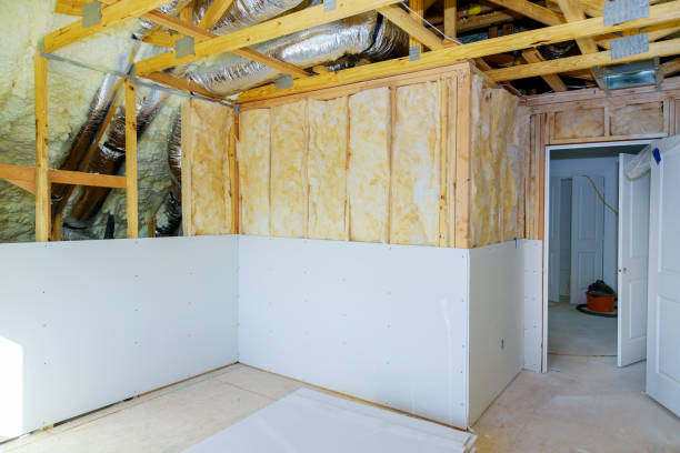 Best Eco-Friendly Insulation in Dash Point, WA