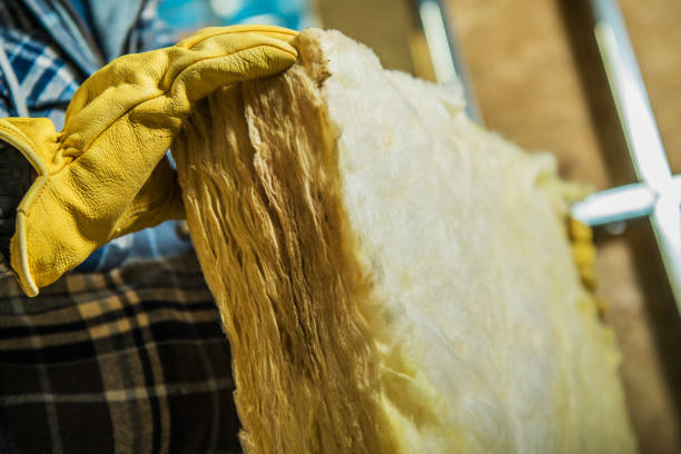 Best Cellulose Insulation in Dash Point, WA